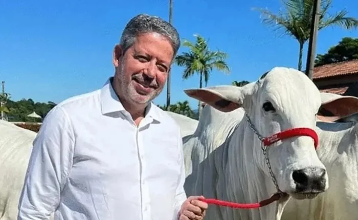 Arthur Lira reúne elite da pecuária do Nordeste e fatura quase R$ 4 milhões em leilão de gado
