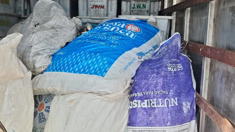 PRF intercepta quase uma tonelada de peixe impróprio para consumo em operação na BR-316, em Canapi