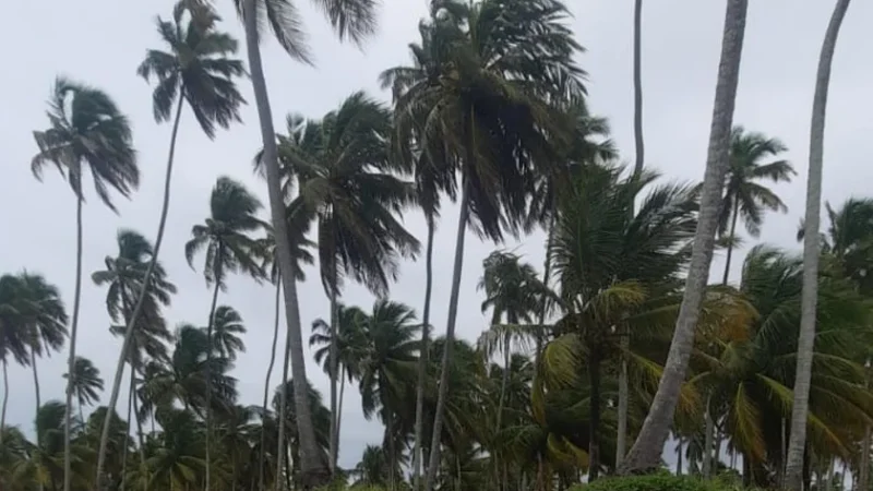 Litoral e Baixo São Francisco de Alagoas terão ventos de até 50 km/h neste fim de semana