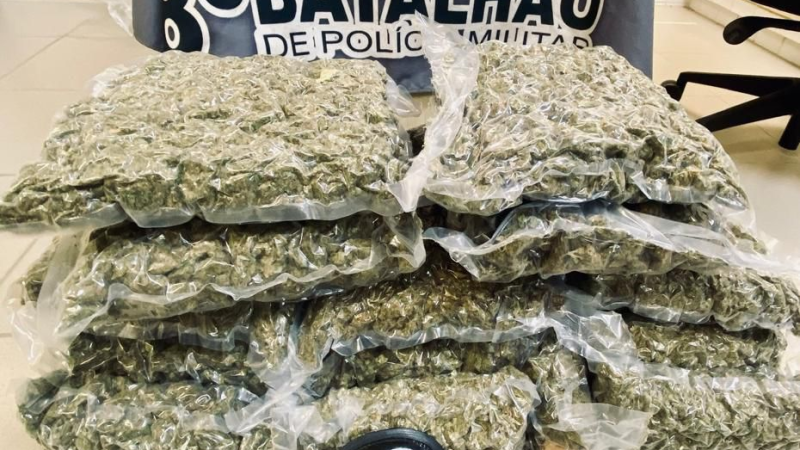 Homem é detido no Aeroporto Zumbi dos Palmares com 20 quilos de maconha em bagagem vinda da Bahia