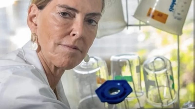 Cientista brasileira faz seis tetraplégicos voltarem a andar