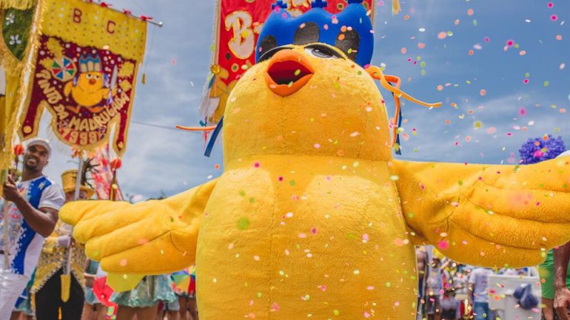 Trânsito em Maceió terá bloqueios e mudanças para passagem do Pinto da Madrugada