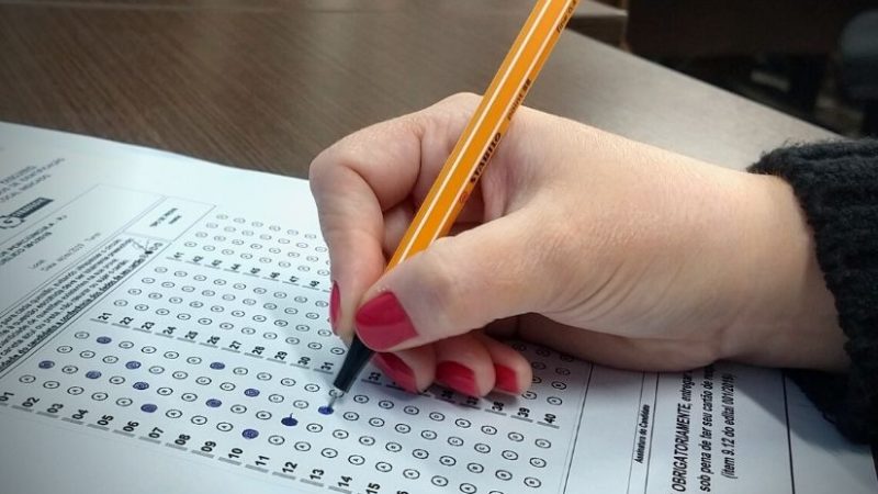 Concurso da Câmara de Palmeira dos Índios: veja vagas, salários, cargos e como se inscrever