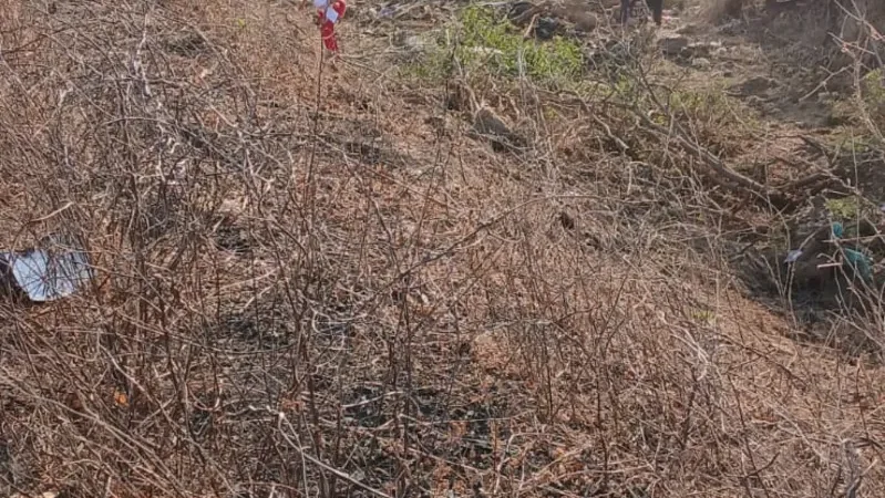 Tragédia no Sertão: ônibus com romeiros de Coité do Nóia se envolve em grave acidente na AL-220