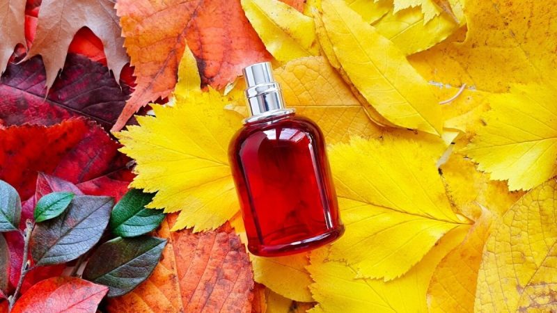 Perfume para o outono: 4 famílias olfativas ideais para a estação