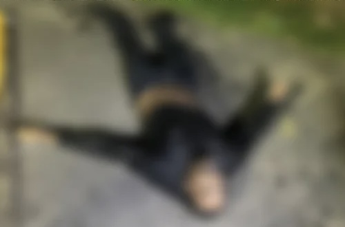 Suspeito morre afogado após arrombamento de lotérica em Alagoas