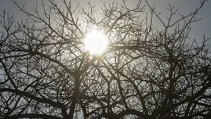 Verão termina dia 20 deste mês e outono deve ter calor e chuvas irregulares em Alagoas; Palmeira dos Índios pode enfrentar variações no clima