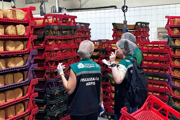 Fábrica de pães é interditada em Fortaleza após fiscalização encontrar infestação de baratas e alimentos impróprios para consumo