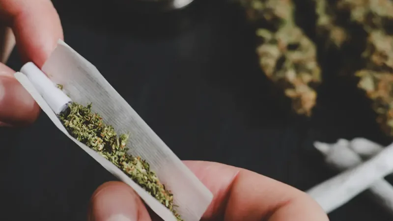 Uso de drogas cresce no Brasil impulsionado pela maconha e acende alerta entre jovens e mulheres