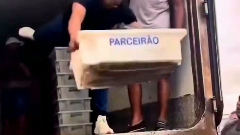 Queda de vereador em ação solidária viraliza e diverte moradores em cidade do Maranhão