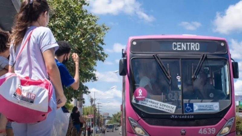 Maceió inicia operação de ônibus exclusivos para mulheres com quatro linhas e horários definidos