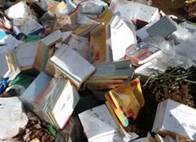 Livros didáticos são descartados em Palmeira dos Índios