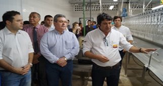 Unidade industrial em Santa Luzia marca ressurgimento da avicultura em Alagoas