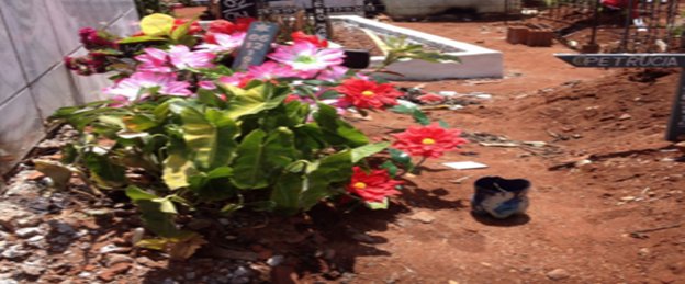 “Olho Vivo”: Capacidade limite de cemitério de Palmeira dos Índios faz com que covas sejam amotoadas em cima de outras