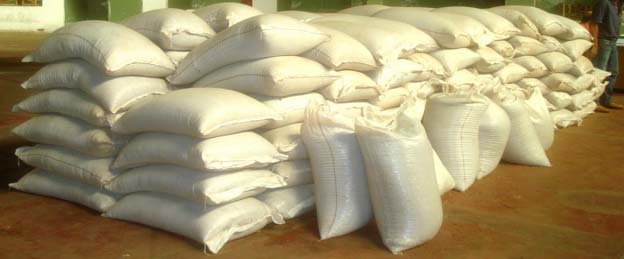 Governo autoriza importação de feijão para reduzir o preço