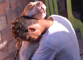 Bebê de 8 meses morre ao ser mordido por pitbull