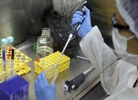 Pesquisadores descobrem anticorpos que ‘neutralizam’ o zika