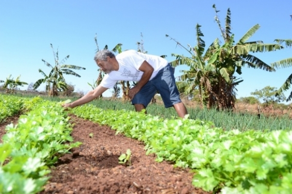 Governo vai liberar mais de R$ 2 milhões para pequenos negócios no Estado