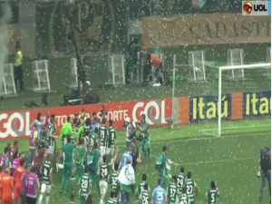 Palmeiras bate a Chape, é campeão brasileiro e acaba com jejum