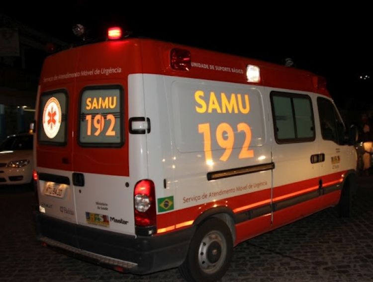 Homem fica ferido após colidir com animal na BR-316