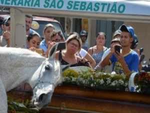 Cavalo se despede do dono morto em acidente e comove velório