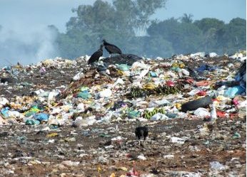 Palmeira: Recém-nascido é encontrado morto dentro de caixa em lixão