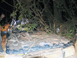 Pais morrem em acidente e filha de 5 anos anda 1km em busca de ajuda