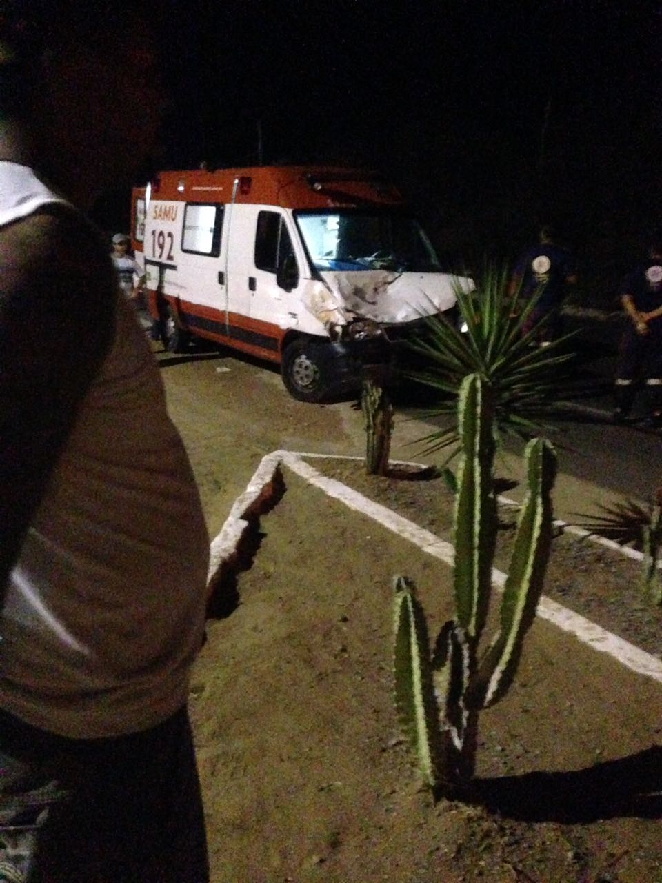 Ambulância do Samu que transportava vítimas de acidente colide com cavalo na AL-115