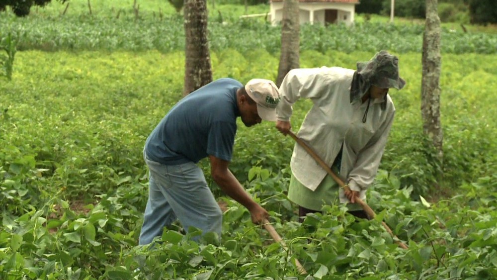 Agricultores de 25 municípios de Alagoas vão receber o Garantia-Safra
