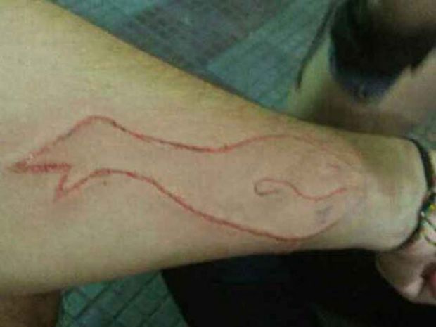 Ministério da Justiça determina que PF investigue envolvidos no jogo Baleia Azul