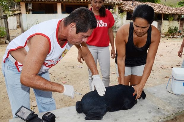 Campanha de vacinação contra a raiva é iniciada em Alagoas