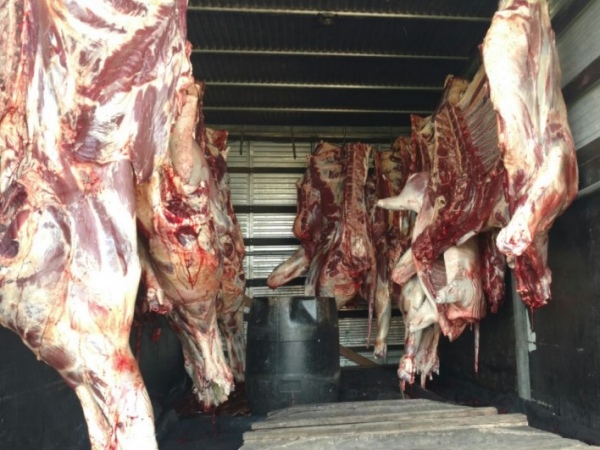 PRF apreende 1,5 tonelada de carne transportada de forma irregular
