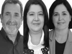 Projeto de incentivo à Cultura tem votos contrários de dois vereadores em Palmeira