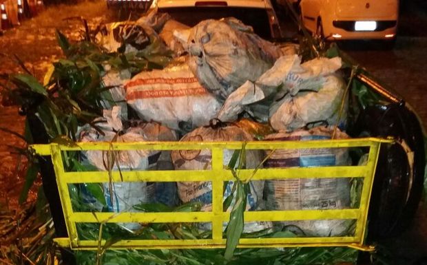 PRF apreende mais de quatro mil Guaiamuns e prende três pessoas na BR-101