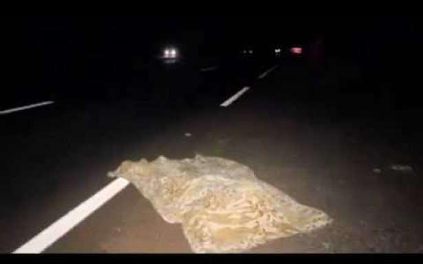 Cadáver mexe os braços quando estava sendo recolhido pelo pelo IML