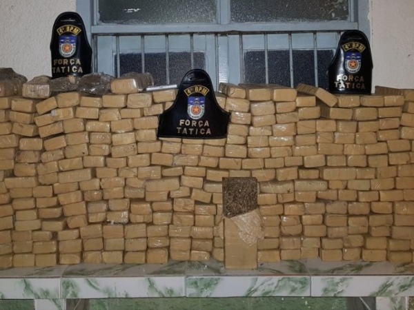 Encontrado 200 kg de maconha enterrados em Fernão Velho