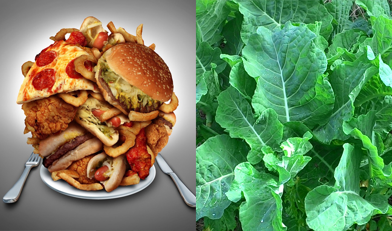 Como seu corpo sabe a diferença entre 100 calorias de couve e 100 calorias de junk food