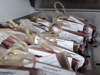 Estoque de sangue do Hemoal é considerado crítico para o Réveillon