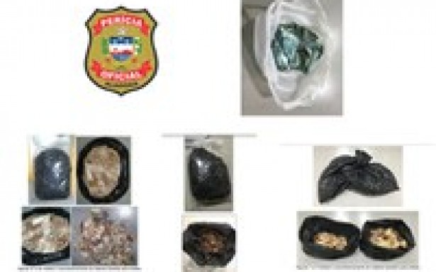 Perícia diz que cédulas apreendidas foram roubadas de banco