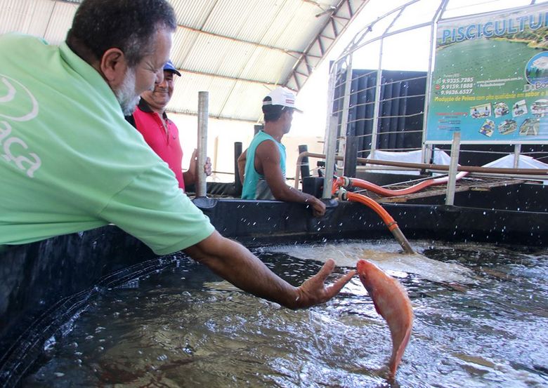 Com preços acessíveis, Feira do Peixe Vivo vai até hoje