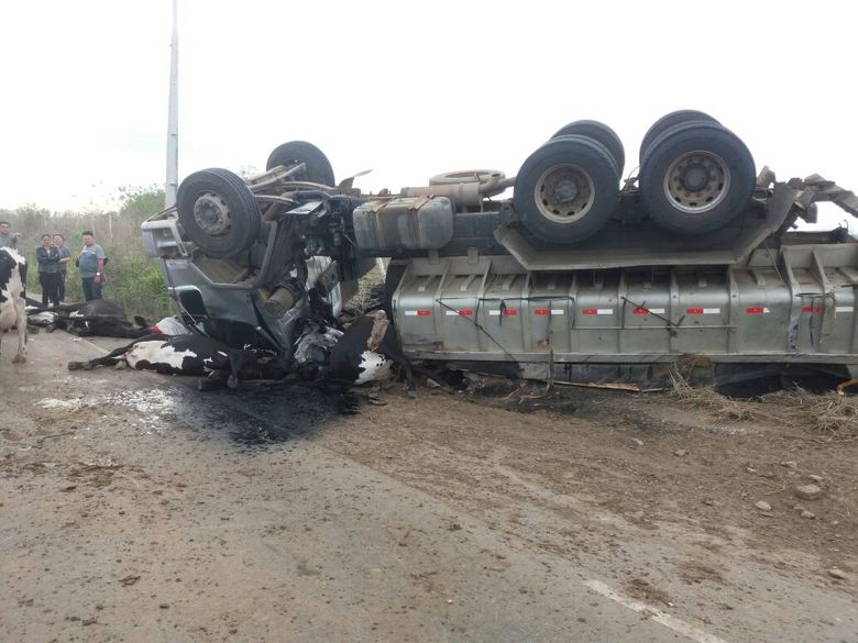 Acidente com caçamba deixa animais mortos na AL-220 em Major Izidoro