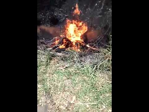 Corpo em chamas é encontrado na zona rural de Palmeira dos Índios