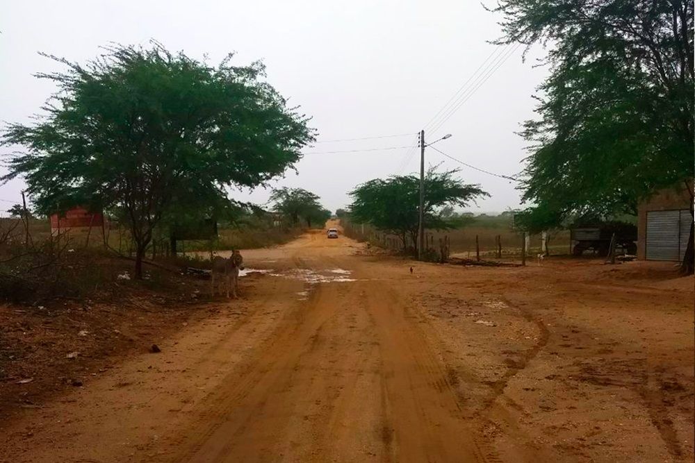 Governo de Alagoas autoriza início da implantação do acesso a Belo Monte nesta 2ª