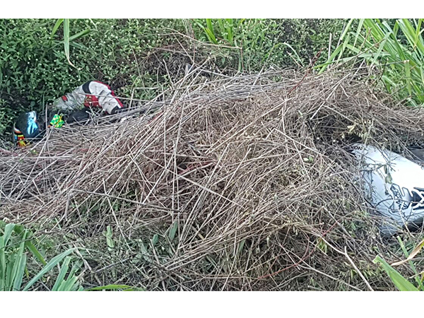 Corpo de motociclista desaparecido é encontrado na AL-115 em Igaci