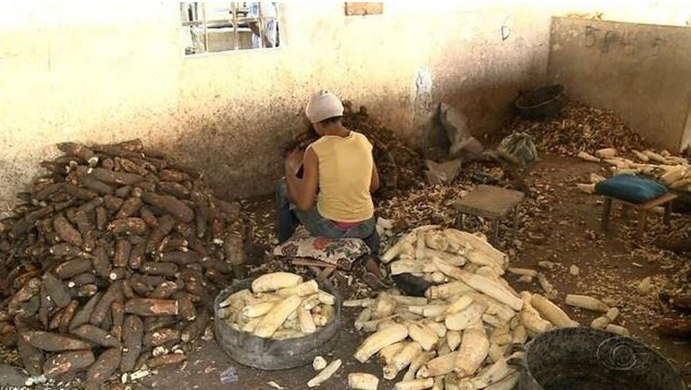 MPT recomenda que casas de farinha voltem a funcionar