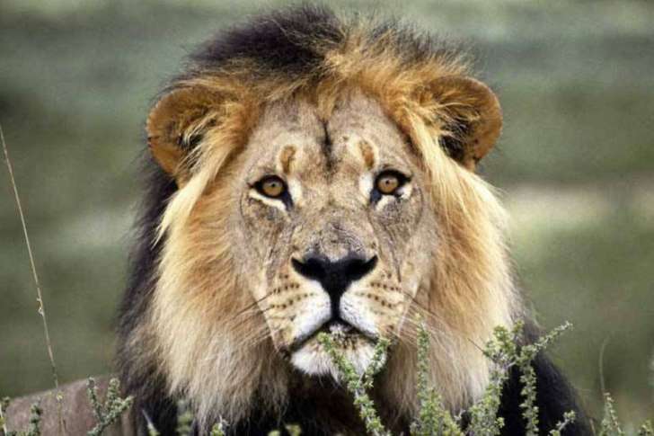 Receita libera nesta terça consulta a lote de restituição do IR