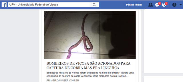 Mulher confunde linguiça com cobra e pede socorro aos bombeiros