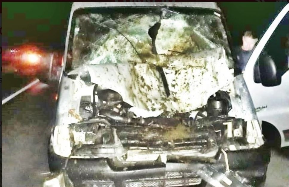 Acidente com cavalo deixa animal morto e homem ferido em Inhapi