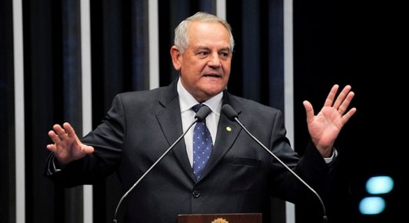 Grupo de Renan Filho terá duas ou três chapas de federal, avisa Carimbão