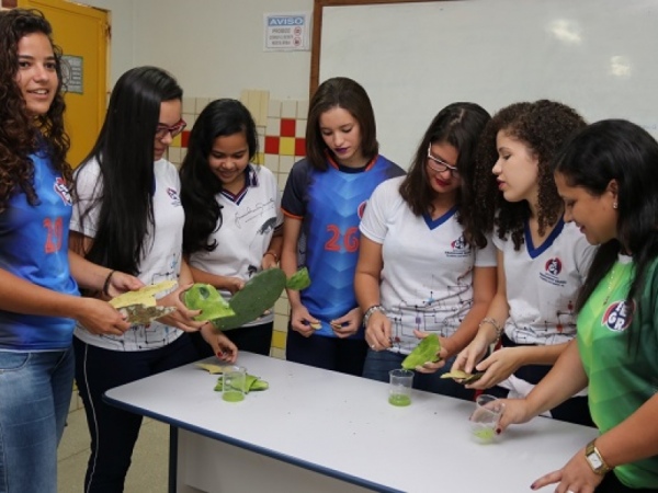 Estudantes Alagoanos usam palma e juá para desenvolver xampu natural